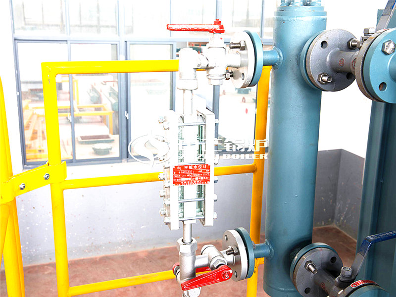 2000萬(wàn)大卡天然氣導(dǎo)熱油鍋爐貴嗎