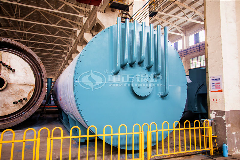 一臺兩噸燃生物質(zhì)導熱油鍋爐多少萬能買到