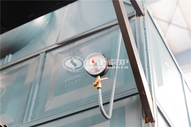 8T燃生物質導熱油鍋爐品牌